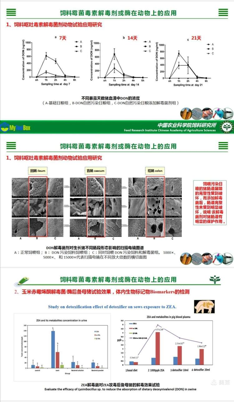 微信圖片_20201217114522